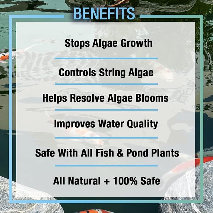 MICROBE-LIFT ALGA32 Algaway 5.4 Algae Control Treatment for Ponds and Water Gardens, Safe for Koi Fish, Goldfish, Plants, and Decorations, 32 Ounces