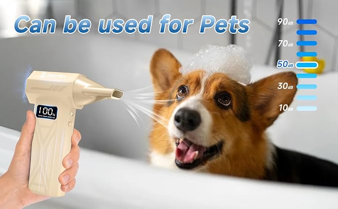 Mini Portable Compressed Air Duster Rechargeable, Electric Cordless Air Blower Gun with LED Light and Case, Computer Keyboard PC Cleaner, Gold