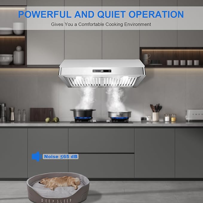 Under Cabinet Range Hood 30 inch, Kitchen Hood 900 CFM Stainless Steel with Gesture & Remote Control, 3-Speed Fan, Time Setting, Dishwasher Safe Baffle Filters, Range Hoods Ductless Convertible Duct