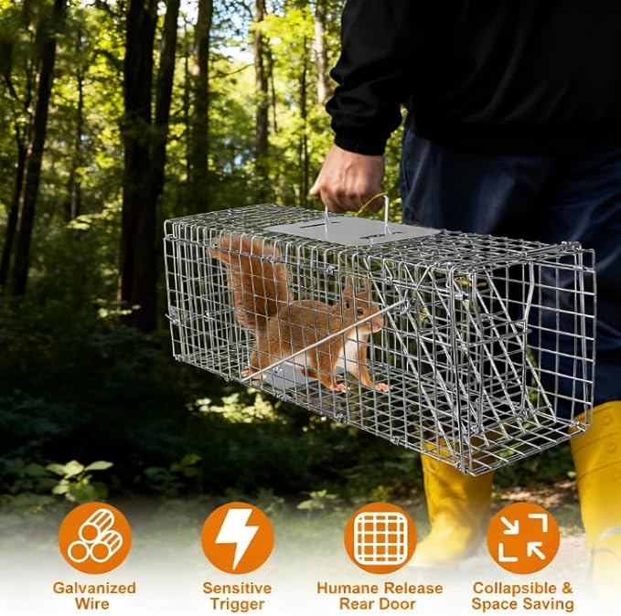 Live Animal Trap Cage Humane Collapsible Cat Trap Cage 1-Door Folding Skunk Traps for Catch and Release Small Raccoons Beavers Squirrel Groundhogs Cats Armadillos Skunks