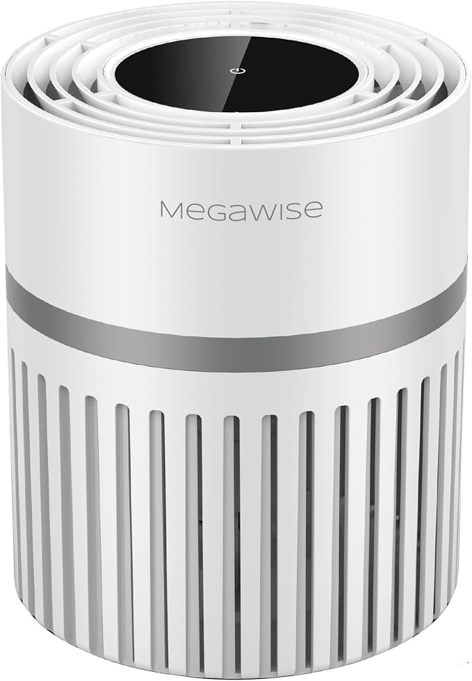 MEGAWISE Office Air Purifier (Desktop Purifier)