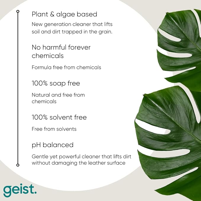Geist. Rapid Cleaner for Leather and Vinyl (Cleaner + Brush + Cloth)