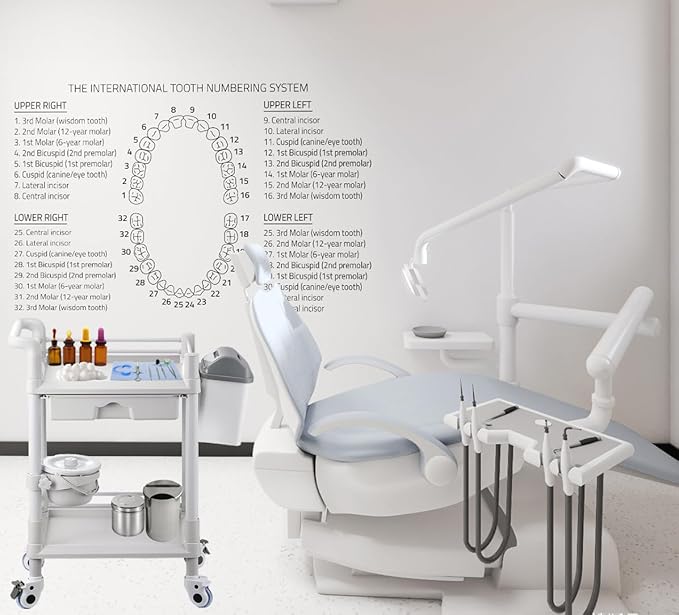 Mount Plus MT01 2 Tier Mobile Medical Cart Trolley with Drawer, Trash Cans, Waste Bowl | Beauty Salon Rolling Trolley with 360° Rotate Wheels | Heavy Duty Utility Cart for Hospital Dental Clinic