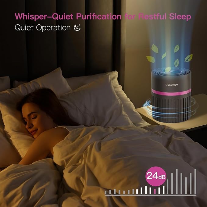 MEGAWISE HEPA Air Purifier for Home & Office, Compact Design with 1 Replacement Filter, Quiet Operation, Suitable for Daily Air Refreshing (Grey)