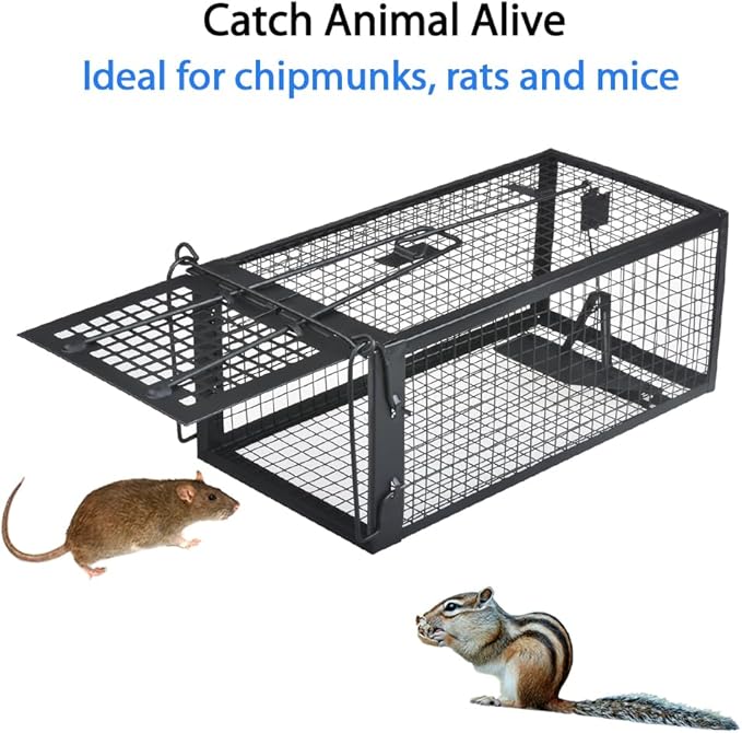 Gingbau Live Chipmunk Rat Trap Humane Vole Mouse Cage Trap
