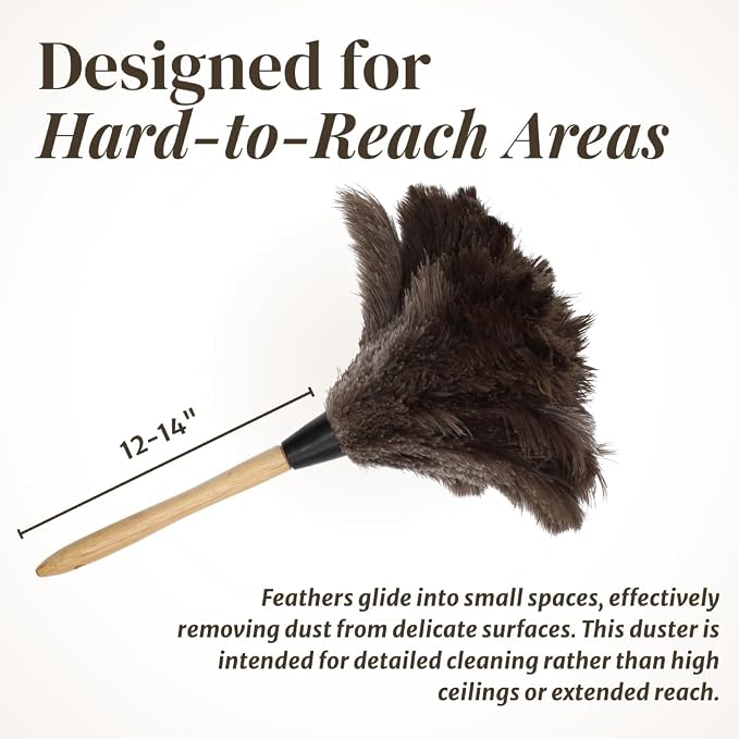 Ostrich Feather Duster with Wooden Handle 14" – Natural Reusable Feather Duster for Cleaning, Furniture & Shelves, Blinds, Ceiling Fan, Dusting Tool for Home, Office, Delicate Surfaces - 2 Pack