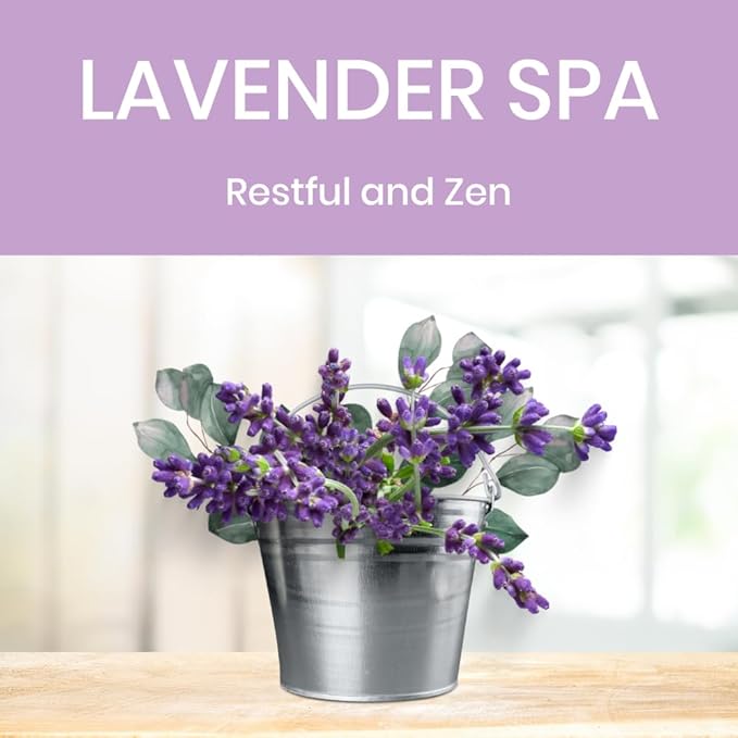 Absolute Green All Purpose Cleaner Spray, Non-Toxic, Kitchen, Bathroom, Countertop, Glass, Stainless, Safe around Kids and Pets, Natural Lavender Spa Scent, 25 oz (1 Pack)