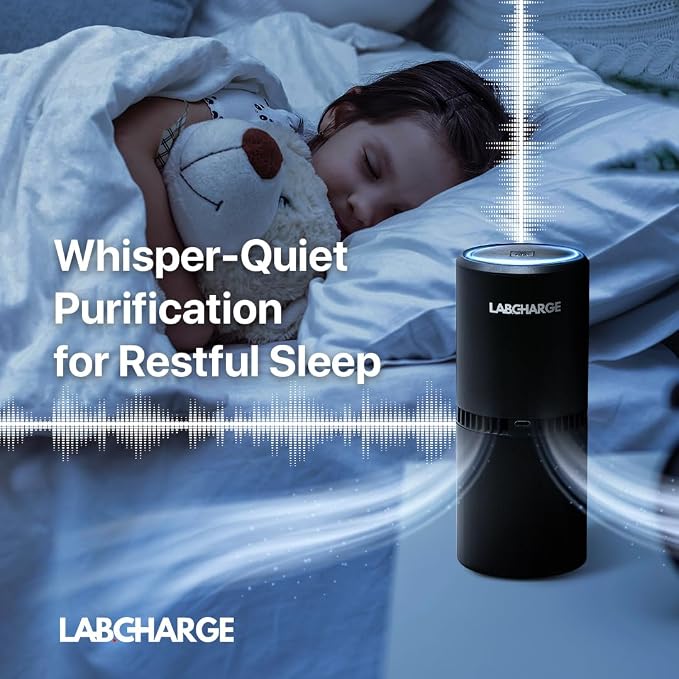 Lab Charge Small Ionic Air Purifier for Home & Bedroom – Silent HEPA Filter – Covers 250 Sq Ft - Free Cleaner for Pets, Hair, Smoke, Dust, Odors & Dander – Compact & Black Design - Pack of 2