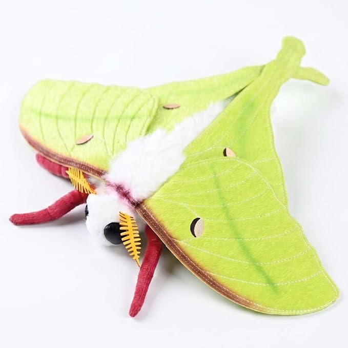 Lifelike Indian Moon Moth Plush - Realistic Actias Selene Stuffed Animal with 15.8 Inch Wingspan for Home Decor and Collection