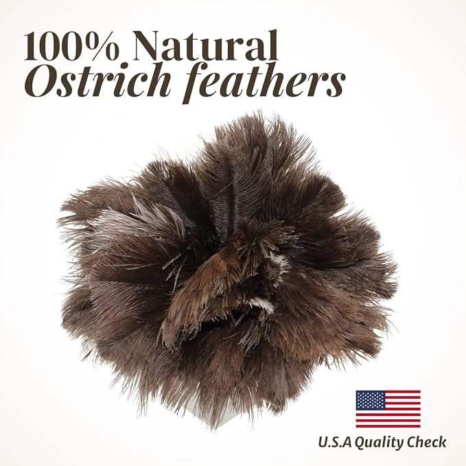 Ostrich Feather Duster with Wooden Handle 14" – Natural Reusable Feather Duster for Cleaning, Furniture & Shelves, Blinds, Ceiling Fan, Dusting Tool for Home, Office, Delicate Surfaces - 2 Pack