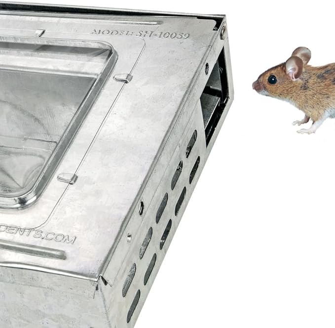 iTrap Multi-Catch Humane Mouse Trap with Clear Top, Repeater Style - 4-Pack for Home & Office | Safe & Effective Rodent Control - Southern Homewares