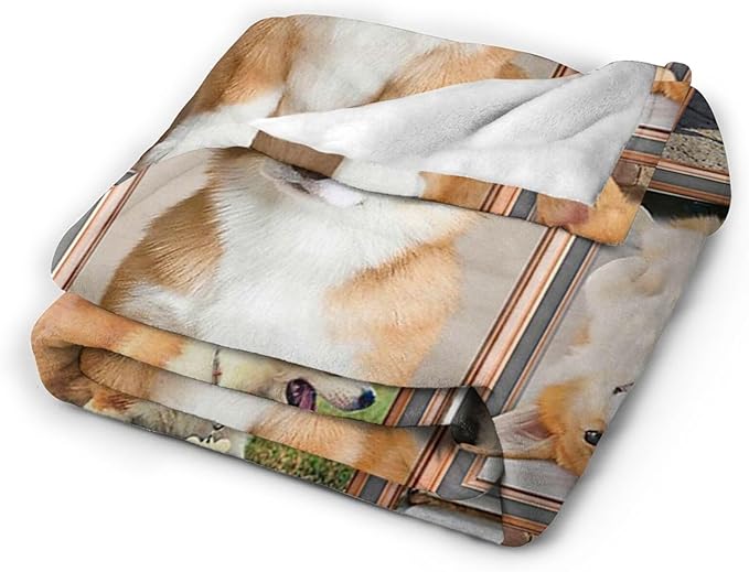 Tijuboni Corgi Throw Blanket Dog Gifts for Girls Boys Women Men Kids Adults Soft Flannel Fleece Blanket for Couch Sofa Bed Home Decor 40"x50"