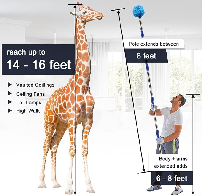 Extended Reach Cobweb Duster with 8-Foot Pole - Medium Bristle Brush for Ceiling, Wall, and Indoor/Outdoor Cleaning, Lightweight Stainless Steel (10FT)