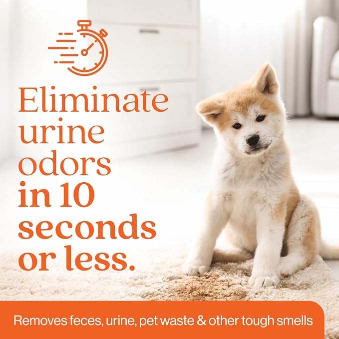 Orange Odor Eliminator | Pet Odor Deodorizer for Strong Odor | Enzyme Stain Cleaner for Cats, Dogs, and Pets | Great for Carpets, Furniture, Dog Kennels, and More (128 Fl Oz)