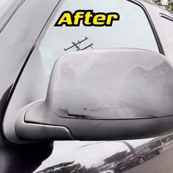 BUG & TAR Remover for Cars, RV and Trucks Professional Detailing Product 16 oz