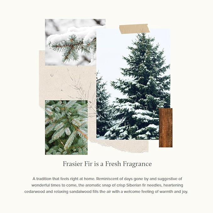Thymes Frasier Fir All-Purpose Cleaning Wipes – Multi-Purpose Cleaning Wipes – Safe for Countertops, Walls, and Other Non-Porous Surfaces – Cruelty Free Surface Wipes (2 Pack of 48 Wipes)
