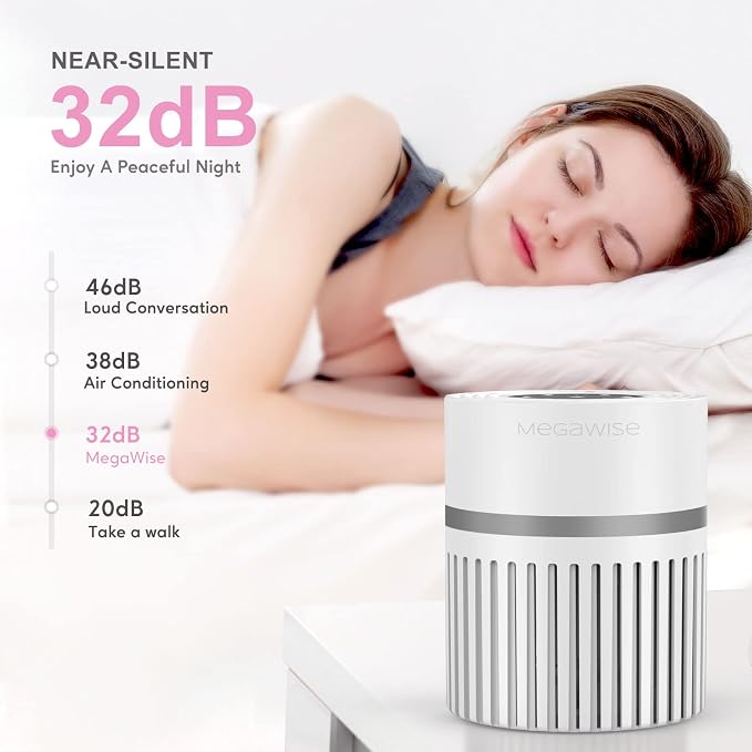 MEGAWISE Office Air Purifier (Desktop Purifier)