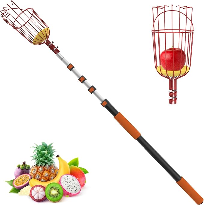 LAANPOLE 36FT Reach Fruit Picker Pole with Basket Telescoping, Apple Picker with 7-30FT Telescoping Pole for Apple Orange Lemon Mango Avocado Guava Fruit Picking
