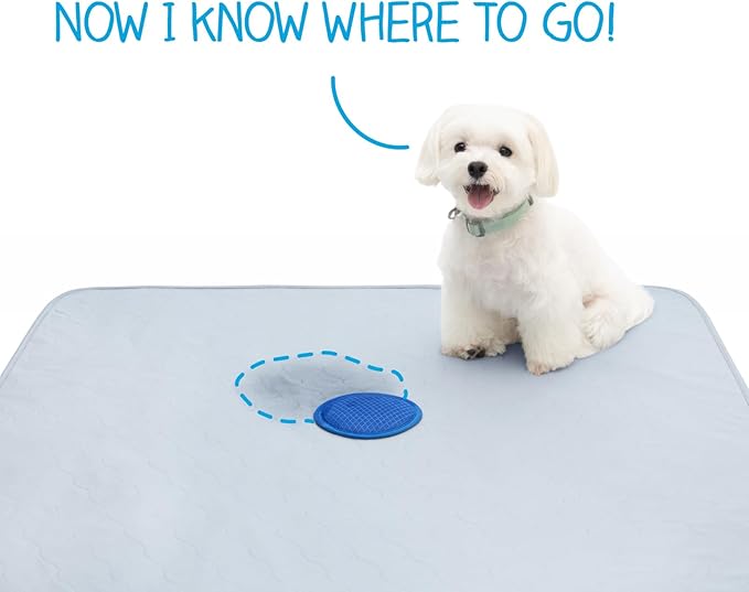 2ct Paw Inspired Speed Spot Go Here Potty Training Puppy Pads with Pop Up Urine Attractant Target | Washable, Reusable Dog Pee Pads with Pheromone Scent Patch for Housebreaking (36x36 Inch Size)
