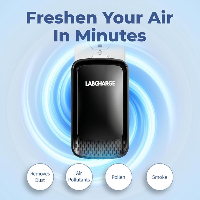 Lab Charge Air Ionizer for Home, Plug-In Filterless Negative Ion Air Purifier, Quiet Air Freshener for Bedroom, Office, Kitchen, Mini Air Cleaner for Odor, Smoke, Dust Mites & Pet Dander (4)