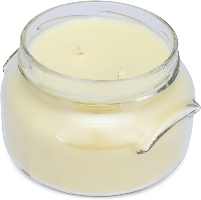 Elanze Designs Tyler Candle Limelight 22 Ounce Glass Jar Candle and Resort Mixer Melts; Set of 3