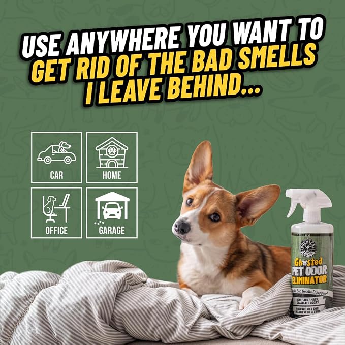 Chemical Guys Ghosted Pet Odor Eliminator 32 Oz Pet Smell Neutralizer For Car Interior, Carpet, Upholstery, Fabric Seats, Home, Furniture, Citrus Scent Spray Cleaner