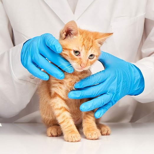 Basic Medical Blue Nitrile Exam Gloves - Latex-Free & Powder-Free - NGPF 7003 (Case of 1,000), Large