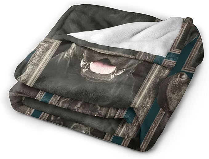 Tijuboni Labrador Retriever Throw Blanket Dog Gifts for Girls Boys Women Men Kids Adults Soft Flannel Fleece Blanket for Couch Sofa Bed Home Decor 40"x50"