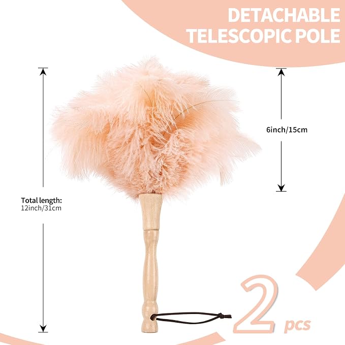 Ostrich Feather Duster 12 Inch Handheld Duster Supplies, Wooden Handle Feather Duster for Cleaning Keyboard Home Car Office (Champagne 2Pcs)