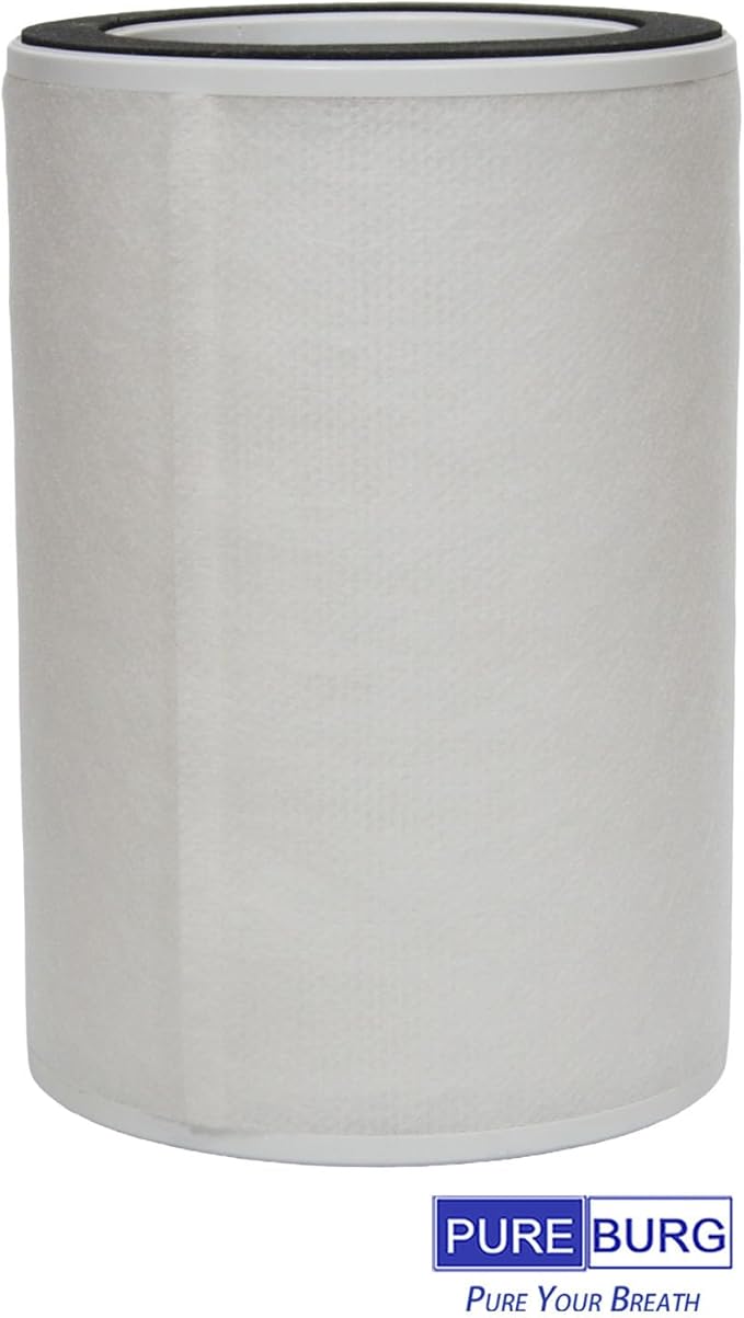 PUREBURG Replacement Filter Compatible with Airthereal Glory Days AGH400 Air Purifier,2-Pack HEPA Activated Carbon 2-in-1 & 8 Pre-Filters For Air Clean Dust VOCs Odor