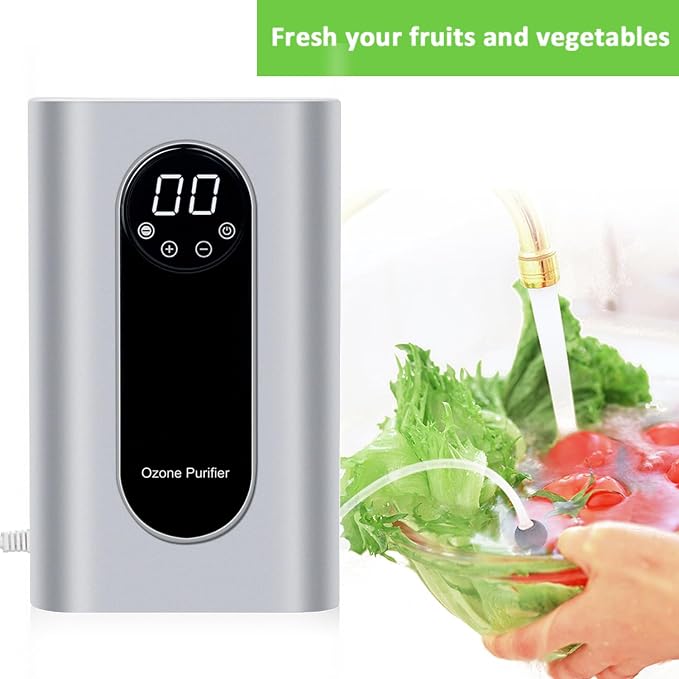 Portable Ozone Machine Generator,1000mg/h Multipurpose Ozone Machine for Air,Water,Food,Home,Office,Hunting (Silver)