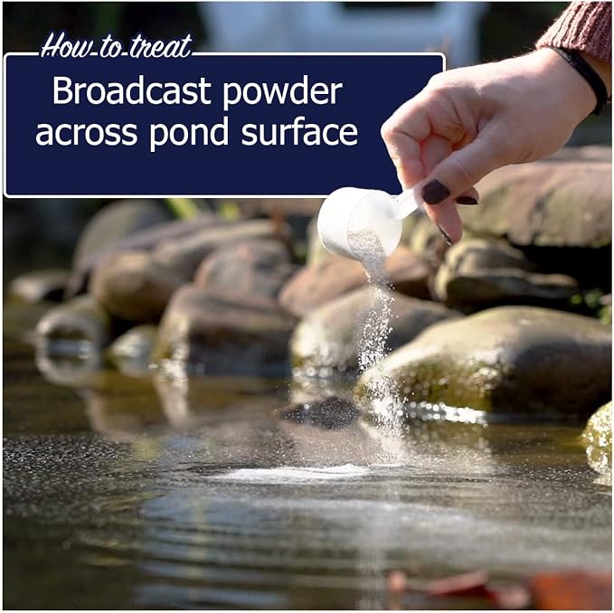 WinterKleen Fall & Winter Bacteria for Ponds | Koi Pond Winterizer, Leaf Digester, Natural Cleaner - Powerful Concentrated Enzymes and Microbes Clean Pond Water