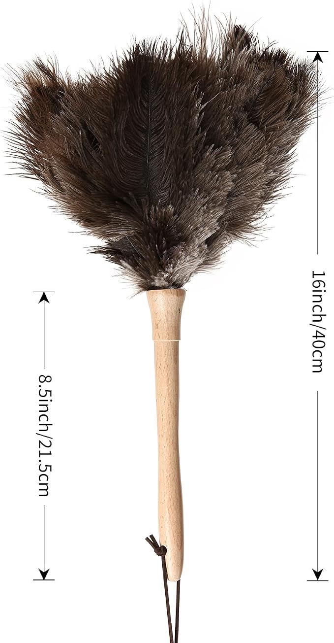 Ostrich Duster Fluffy Natural Feather Dusters with Wooden Handle Cleaning Supplies for Home Office Car (2, 16inch)