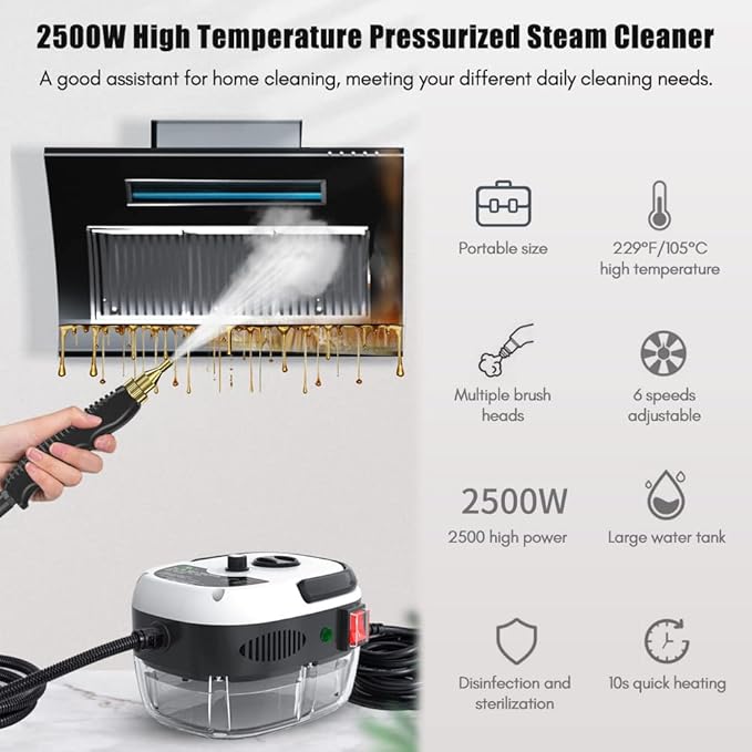 Steam Cleaner,2500W High Temperature Pressurized Steam Cleaner,Portable Steam Cleaning Machine,10S Fast Heating,with 3 Brush Heads
