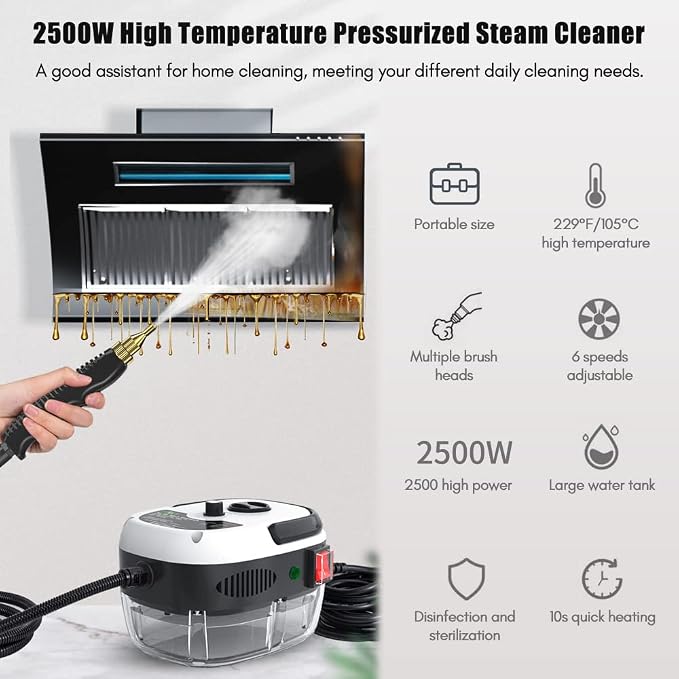 Portable Steam Cleaner, 2500W High Temperature Pressurized Steam Cleaner for Deep Cleaning Floors, Car, Upholstery, Bathroom, Windows and More