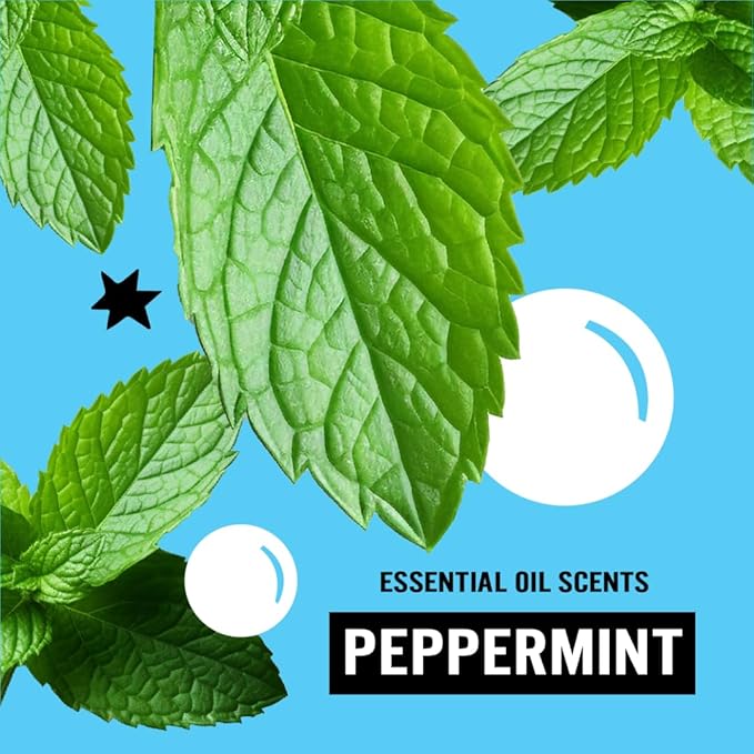 Molly's Suds Peppermint Laundry Detergent Powder (120 Loads) & 6 XL Wool Dryer Balls (White) Bundle