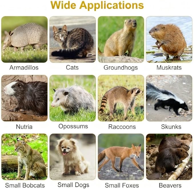 Live Humane Animal Trap Cage Cat Trap Folding Catch and Release for Raccoons Opossums Skunks Feral Cats Squirrels Rabbit 25.59Inch