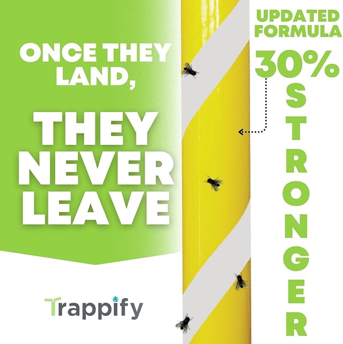 Glow-in-The-Dark Flies Stick by Trappify: Indoor & Outdoor Flying Insect Trap | Water-Resistant Sticky Traps for Fruit Fly Traps for Indoors and Fly Trap Indoor (8 Pack)