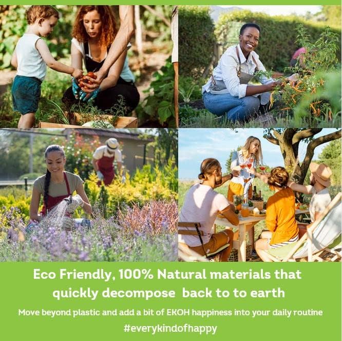 EKOH Swedish Dishcloths for the Kitchen - 12 Pack Cleaning Cloths for the Home - 100% Biodegradable Dish Cloths a Paper Towel and Plastic Sponge Alternative (Scandi Botanical, Scandinavian)
