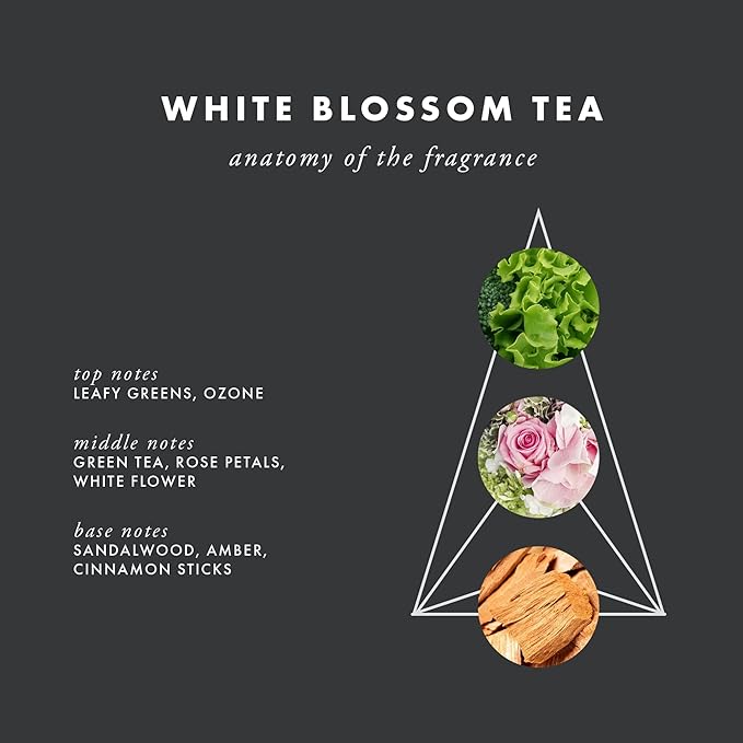 ScentAir Whisper Essential Monthly Plug-in Refill, White Blossom Tea | Fragrance Diffuser Cartridge Refill for Home and Office