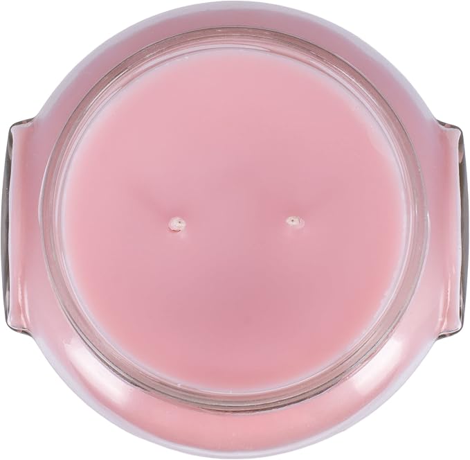 Tyler Pastel Peach 2-Wick 22 Ounce Glass Aromatherapy Scented Jar Candle Pack of 2, Bless Your Heart