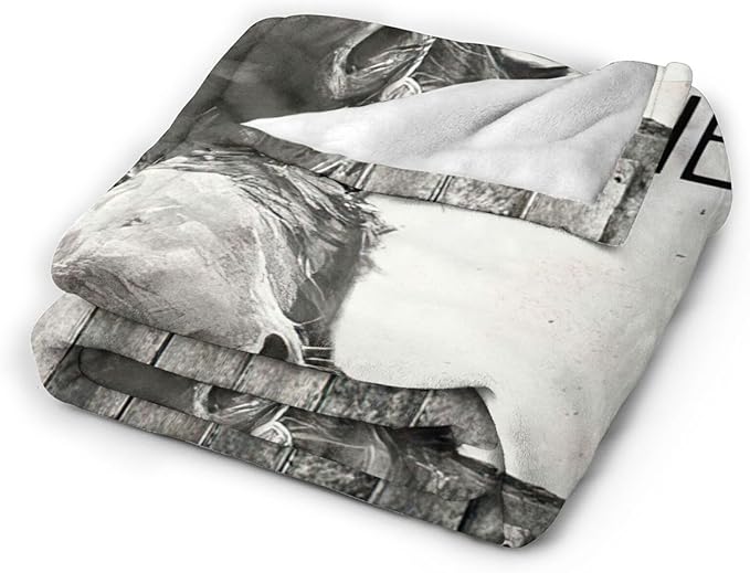 Tijuboni Funny Donkey Throw Blanket Donkey Gifts for Girls Boys Women Men Kids Adults Soft Flannel Fleece Blanket for Couch Sofa Bed Home Decor 50"x60"