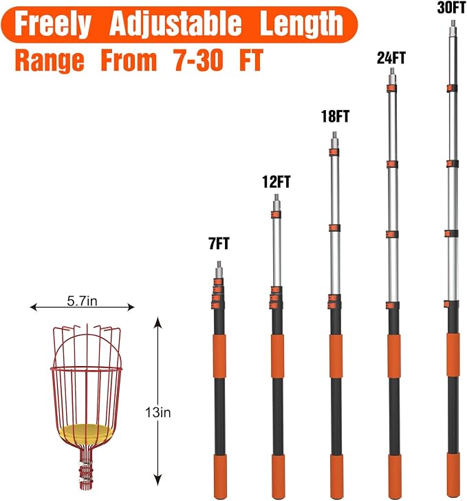 LAANPOLE 36FT Reach Fruit Picker Pole with Basket Telescoping, Apple Picker with 7-30FT Telescoping Pole for Apple Orange Lemon Mango Avocado Guava Fruit Picking