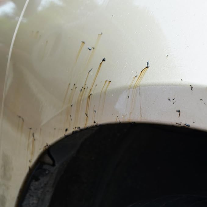 Detail King Tar Remover for Cars 32 Oz
