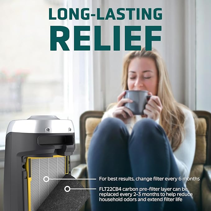 GermGuardian HEPA Pure Genuine Air Purifier Filter B, Removes 99.97% of Pollutants, Wildfire Smoke, Odors, for AC4825, AC4300, AC4900, AC4880, AC4850, CDAP4500, 2-Pack, Black/Yellow, FLT48252PK