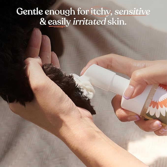 Dandylion Clean Paws Refill - No Rinse Dog Paw Cleaner Refill for Dogs, Fragrance Free pH Balanced Foaming Paw Washer, Pet Cleaning Supplies, Daily Post-Walk Use, 10 fl oz
