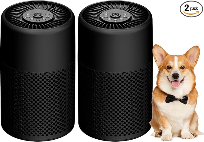2 Pack Air Purifiers for Bedroom Home, True HEPA Filter for Dust, Smoke, Pet Dander, Small Air Purifier with Sleep Mode for Bedroom Office, Night Light Quiet 24dB, Fragrance Sponge, Black