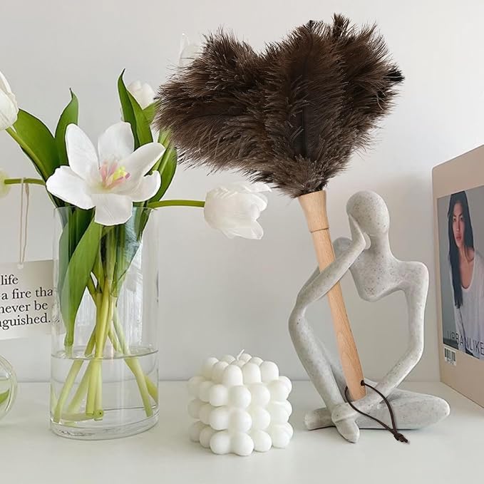 Ostrich Duster Fluffy Natural Feather Dusters with Wooden Handle Cleaning Supplies for Home Office Car (1, 16inch)
