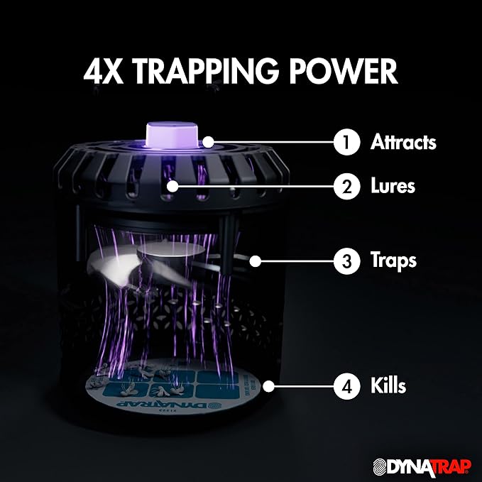 DynaTrap DT152 Indoor Insect Trap and Killer – Catches and Kills Fruit Flies, Gnats, Moths & 230093 Replacement StickyTech Glue Cards for Flylight Indoor Plug-in Fly and Flying Insects