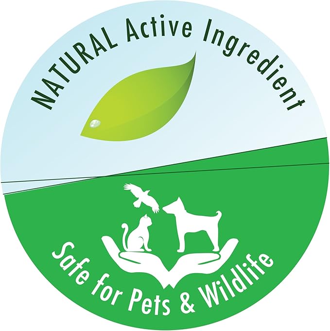 API POND-ZYME SLUDGE DESTROYER Pond Cleaner With Natural Pond Bacteria And Barley, 8oz container (146)